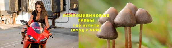 метамфетамин Козельск