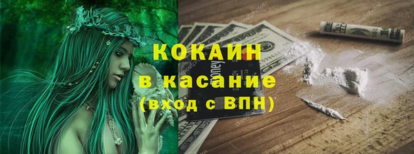 крисы Кодинск