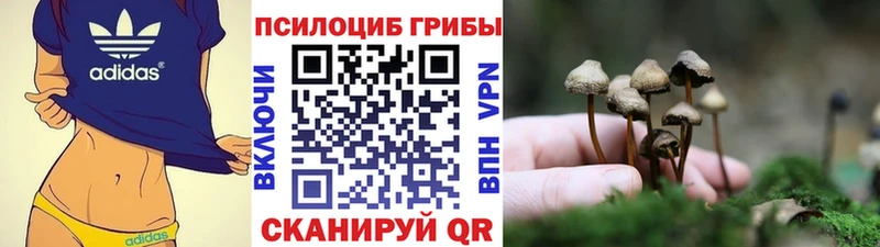 Галлюциногенные грибы GOLDEN TEACHER  Купить где  Каргат 